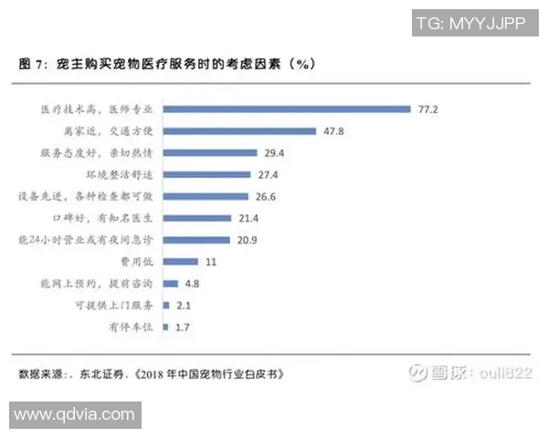 广州网球队力量表现的深度数据分析与趋势探讨