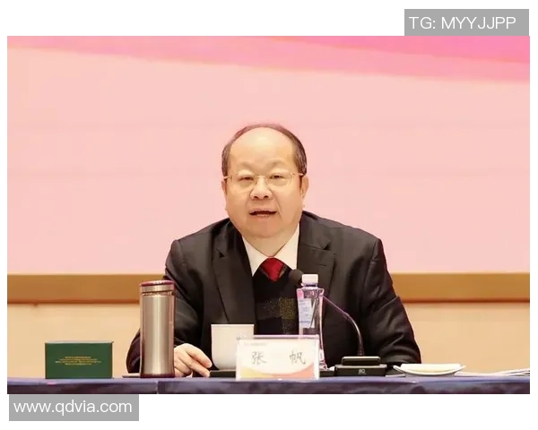 张帆的奋斗历程与成就探索：从平凡到卓越的成长之路