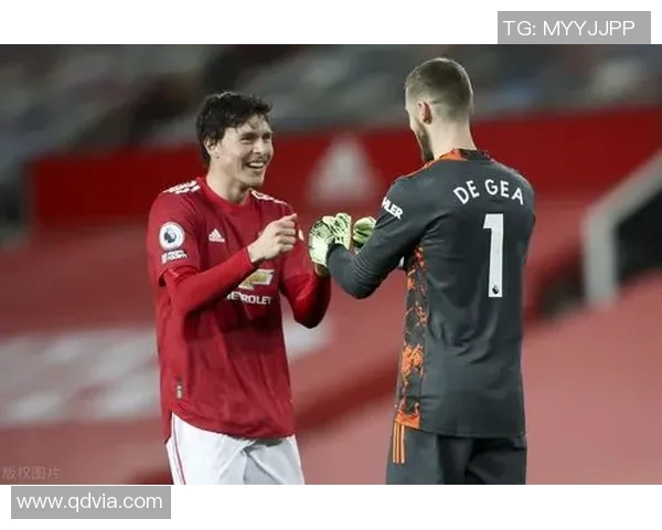 芬兰对克罗地亚比赛分析斯坦科维奇的战术布局与球队表现探讨 芬兰对克罗地亚比赛分析斯坦科维奇的战术布局与球队表现探讨