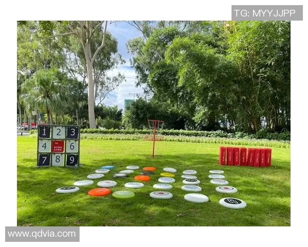 飞盘盛宴：深入探讨成都飞盘队的默契配合与战术策略