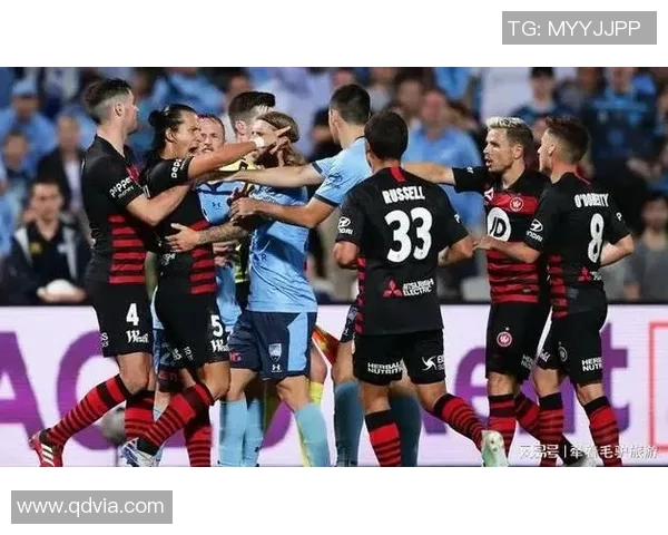 中央海岸与惠灵顿比赛结果分析及比分预测展望